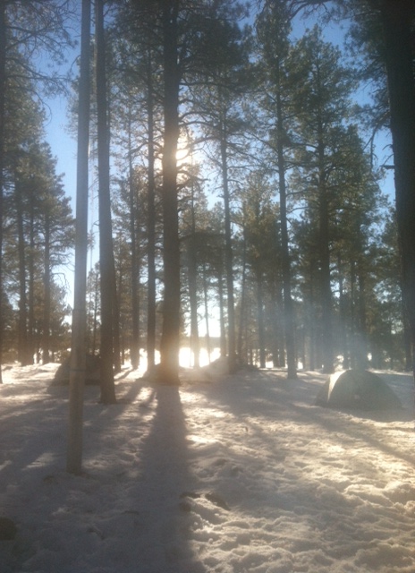 Sunday Morning Sunlight Filtered Through Campfire Smoke