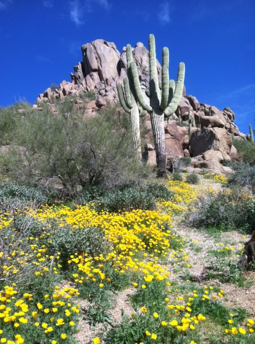 Steve Parker MD, hiking, exercise, Pinnacle Peak, Scottsdale Arizona
