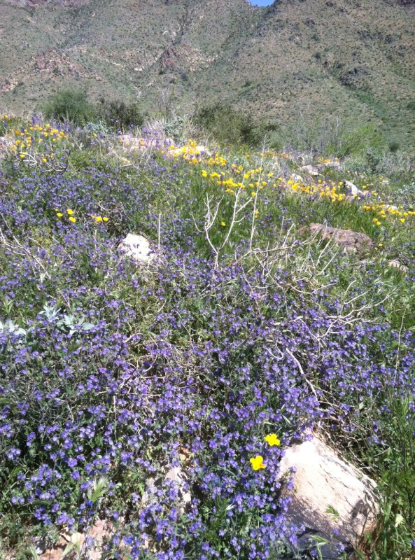 Steve Parker MD, hiking, Arizona