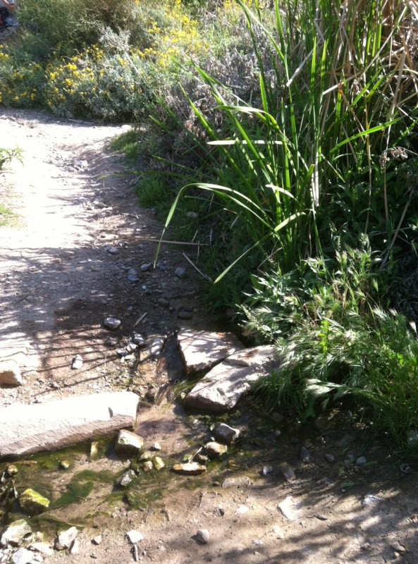 hiking, Arizona, Steve Parker MD,