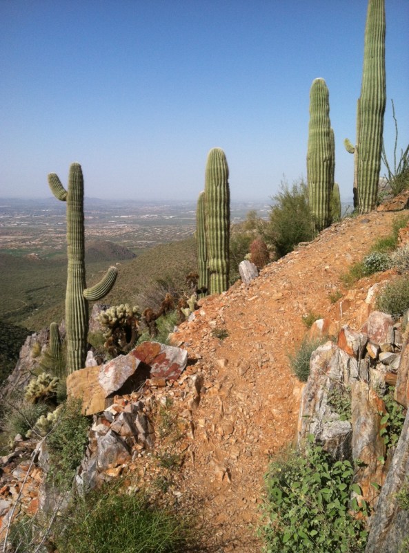 hiking, Arizona, Steve Parker MD