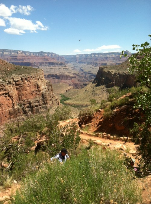 Steve Parker MD, arizona, grand canyon