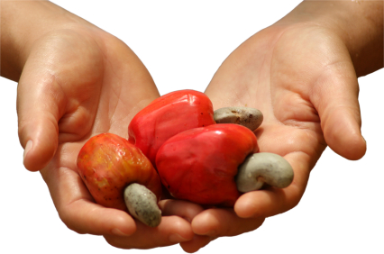 natural cashews, cashew apple
