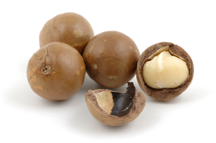Macadamia nuts
