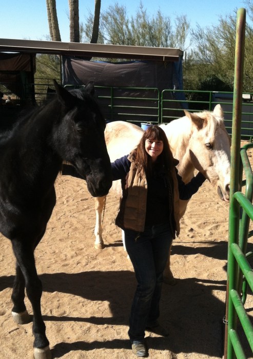 Steve is the palomino on the right