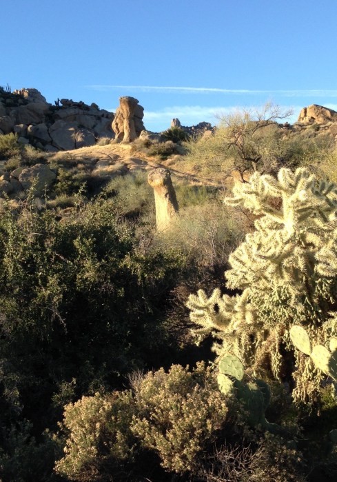 That vertical rock formation in the center is called a mushroom