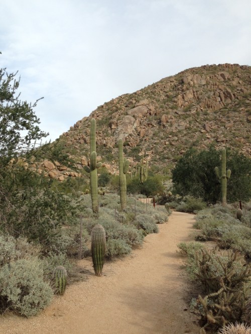 This granite hill is similar to the geology of the Wichita Mountains Wildlife Refuge near Lawton, Oklahoma, over a thousand miles away