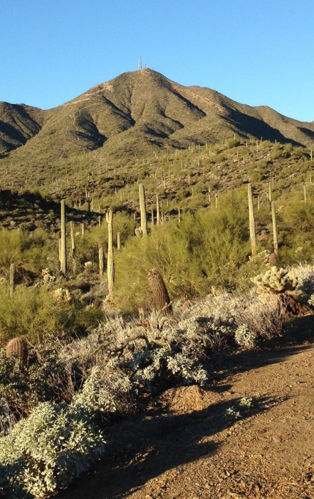 The antennas on top of that mountain are my goal