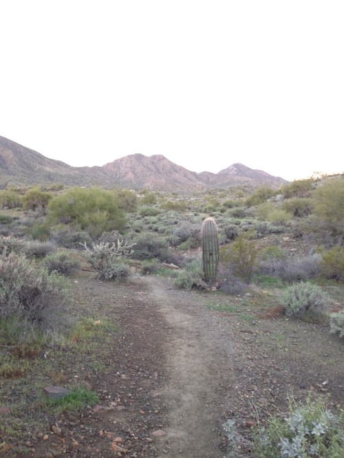 The colors aren't vivid because it's 10 minutes before sunrise