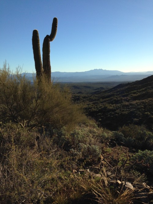 Four Peaks way in the distance to the east, on the horizon