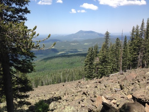 A huge river of boulders
