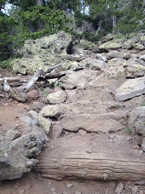 Most of the trail is more chaotic than this