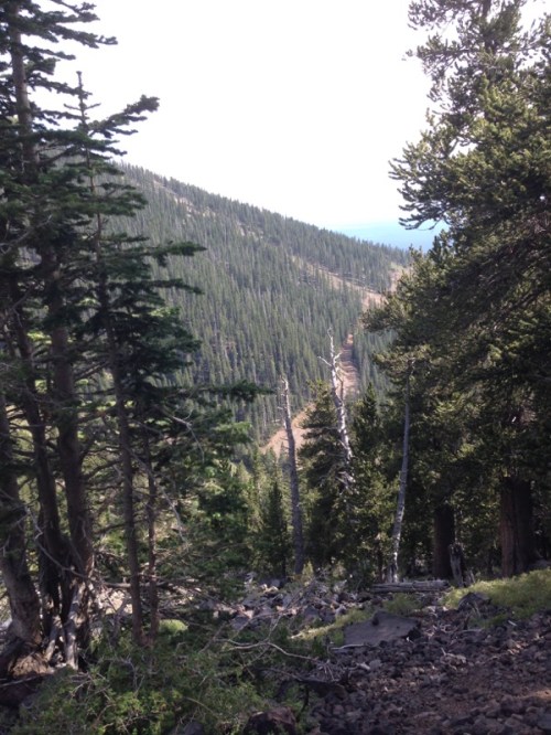 About half way down from the peak