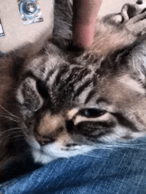 My son Paul made this