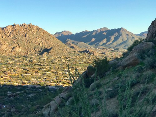 Taken with my new iPhone-7 Plus