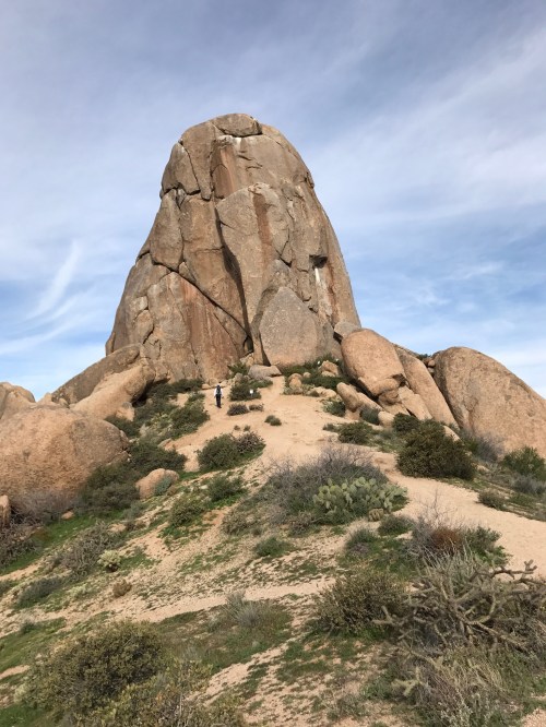 The thumb up close and personal