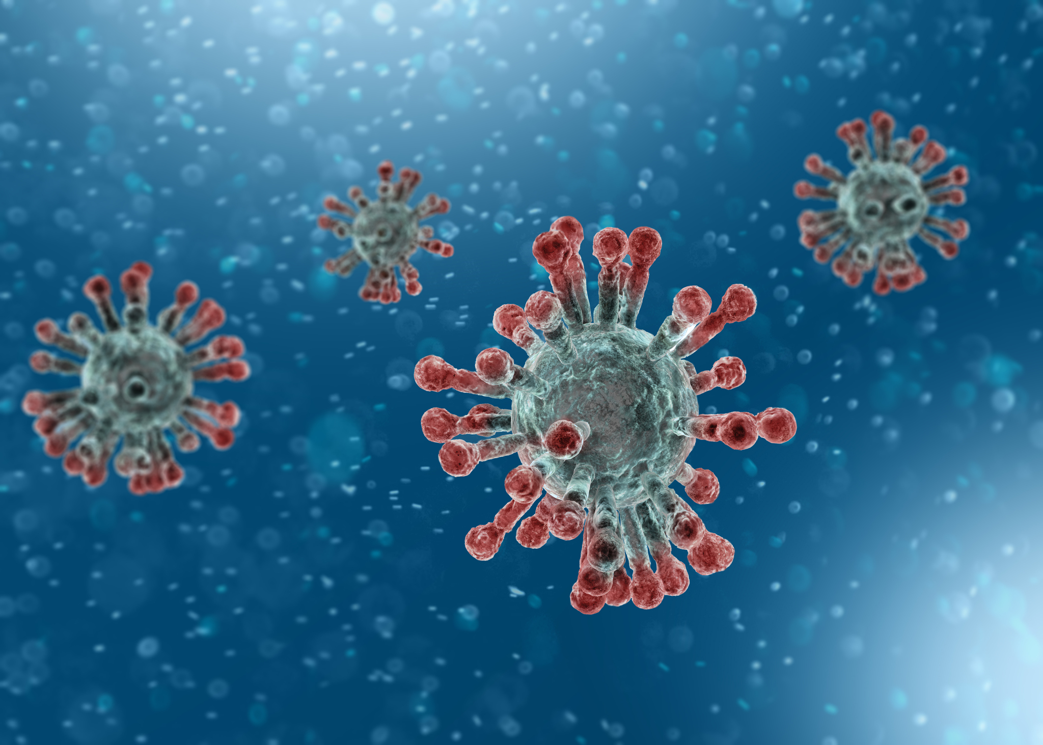 artist's rendition of coronavirus