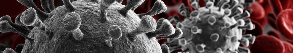 artist rendition of coronavirus